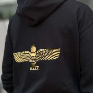 Barn luvtröja med syrianska flagga brodyr